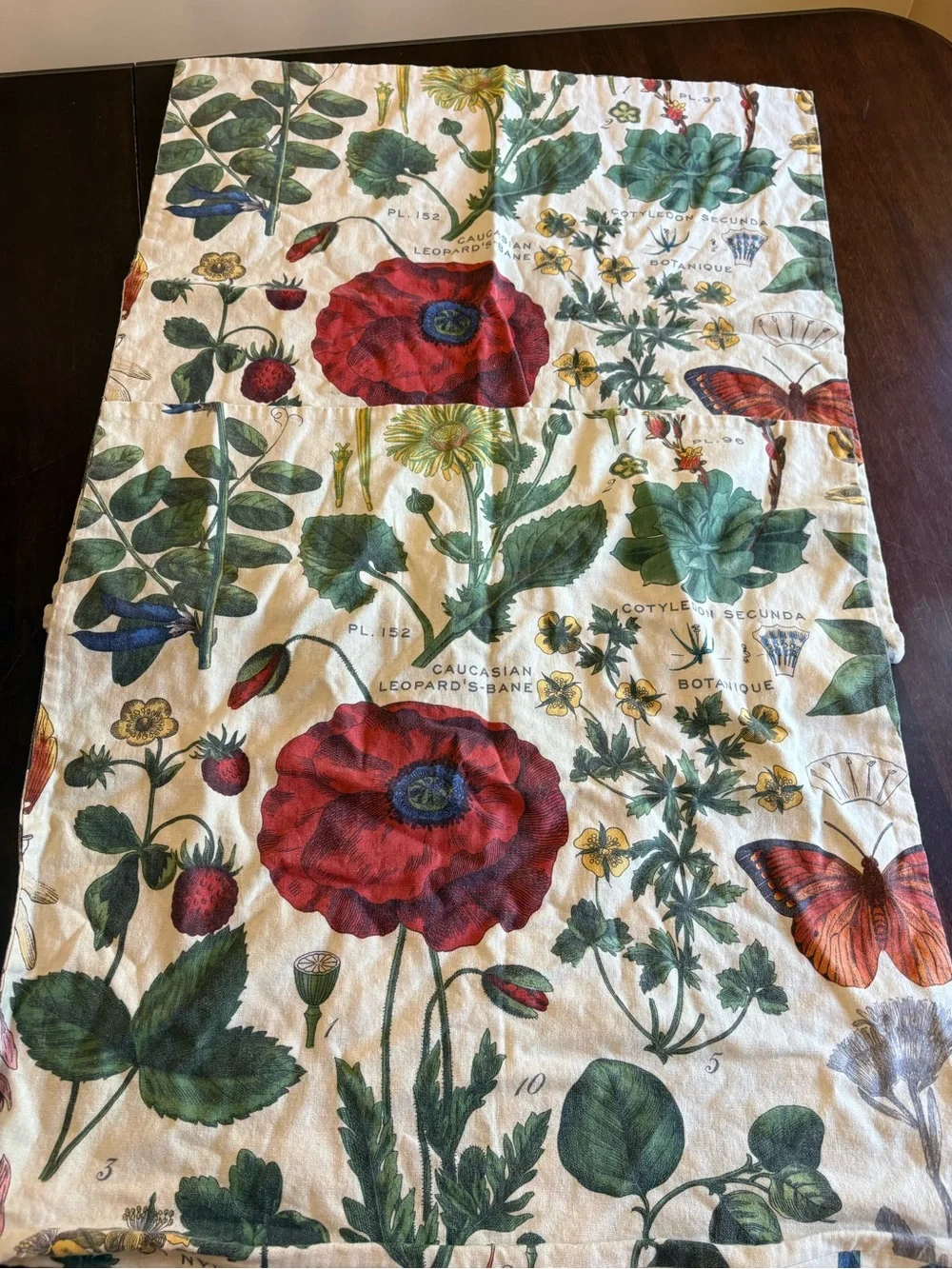 2 Pottery Barn Cream Botanical Linen 24” Pillow Covers